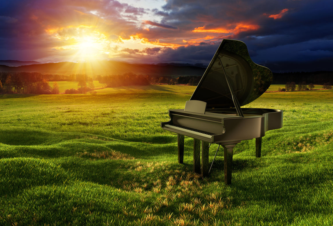 Adina’s Melodies