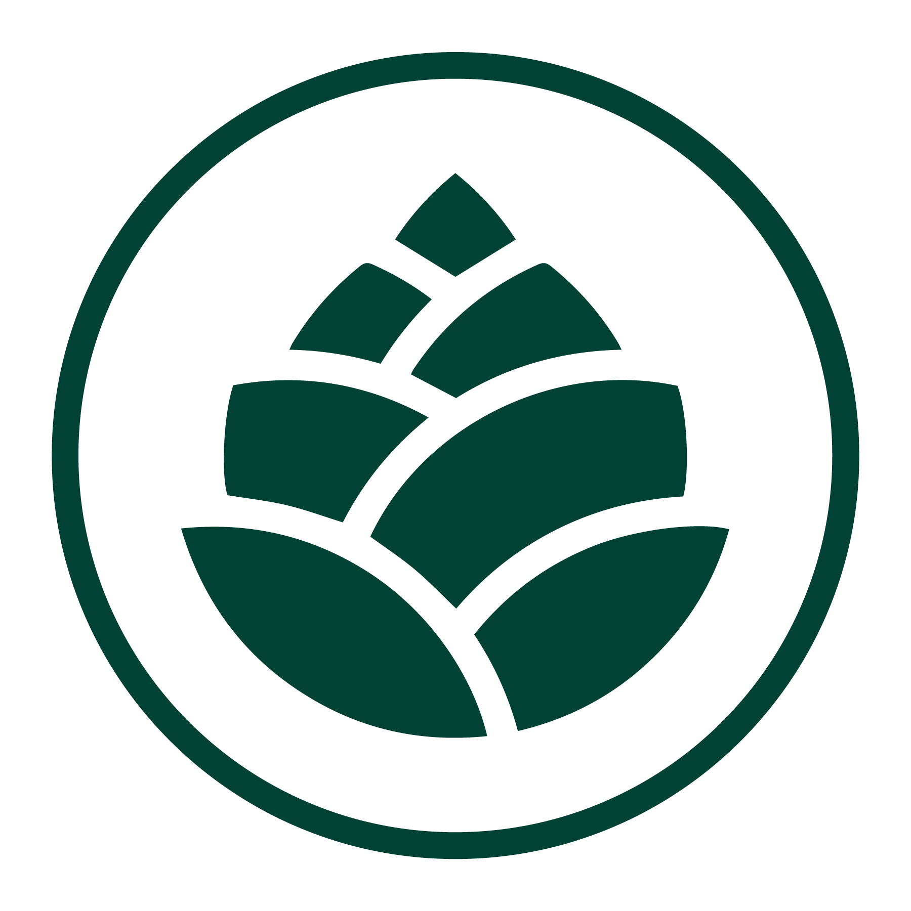 SE_icon